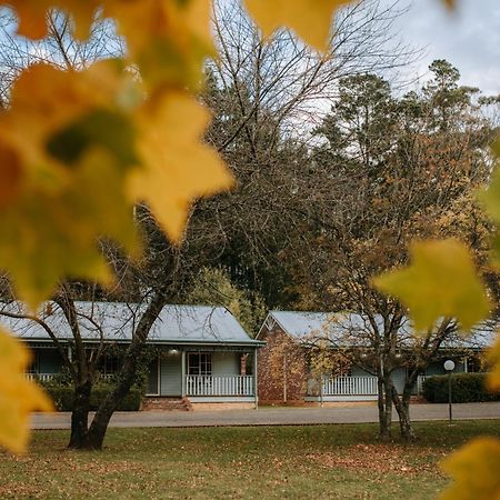 Federation Gardens & Possums Hideaway Villa Blackheath Exterior photo