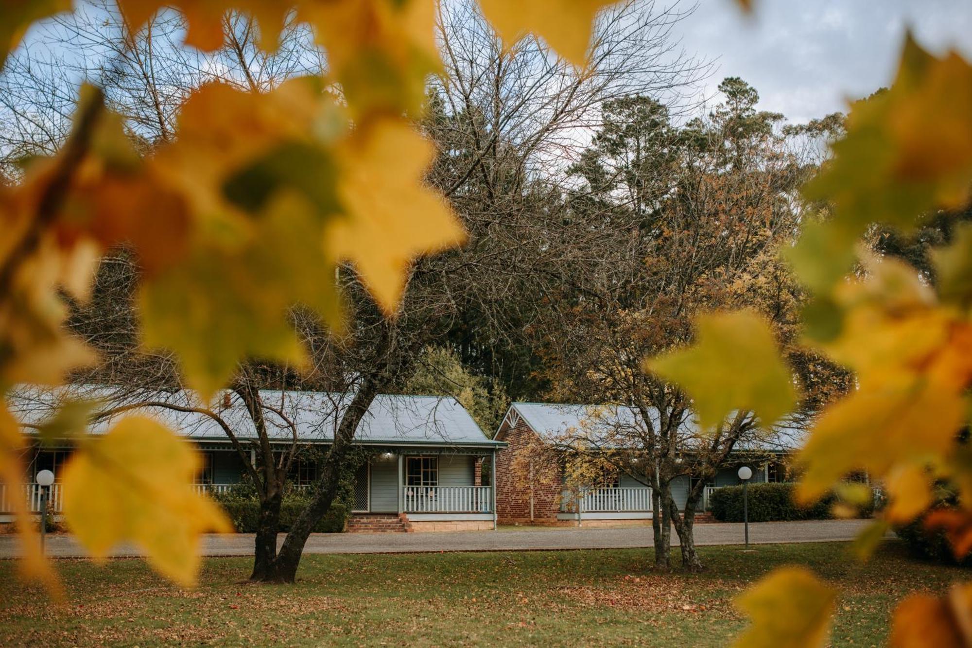 Federation Gardens & Possums Hideaway Villa Blackheath Exterior photo