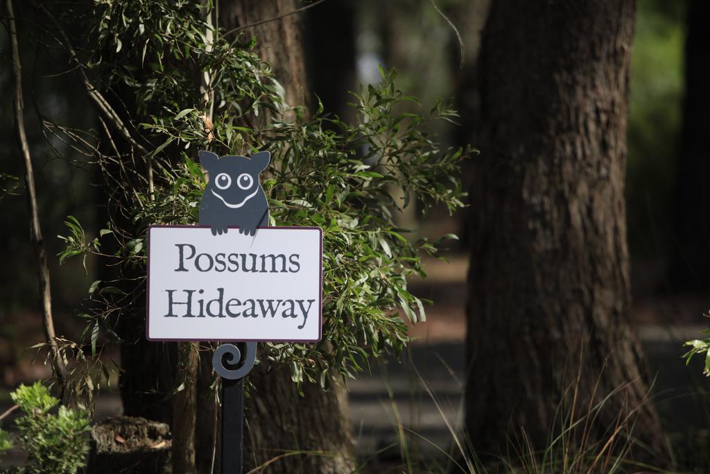Federation Gardens & Possums Hideaway Villa Blackheath Exterior photo