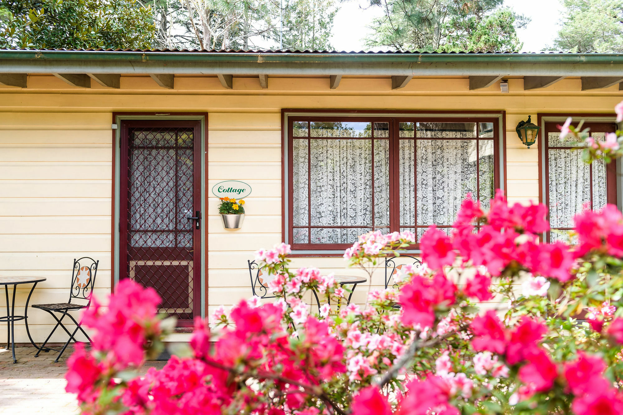 Federation Gardens & Possums Hideaway Villa Blackheath Exterior photo