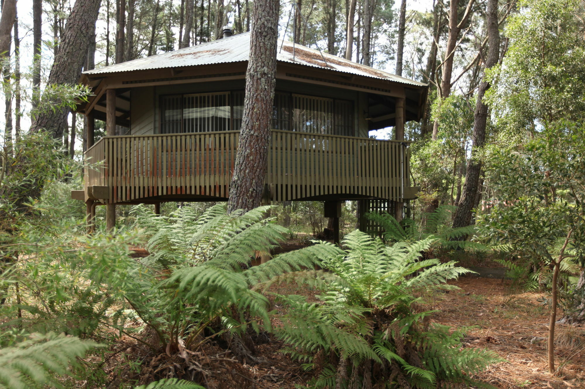 Federation Gardens & Possums Hideaway Villa Blackheath Exterior photo